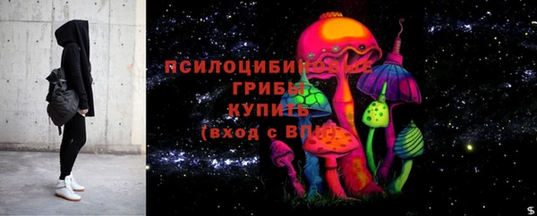 ПСИЛОЦИБИНОВЫЕ ГРИБЫ Вязники